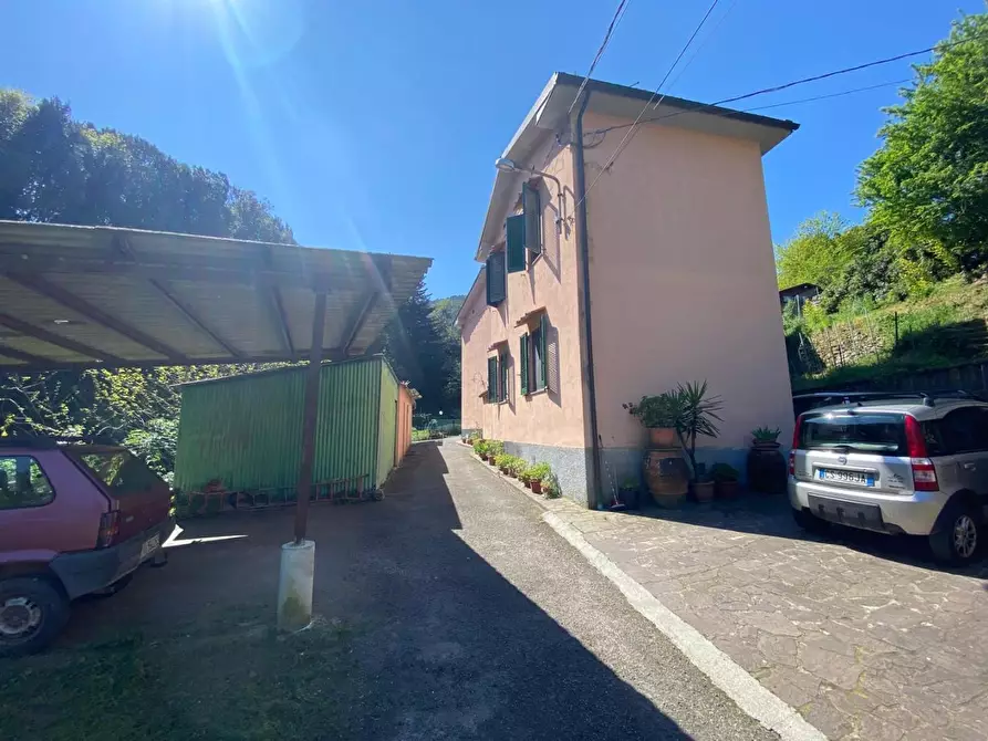 Immagine 4 di Porzione di casa in vendita  a Buti