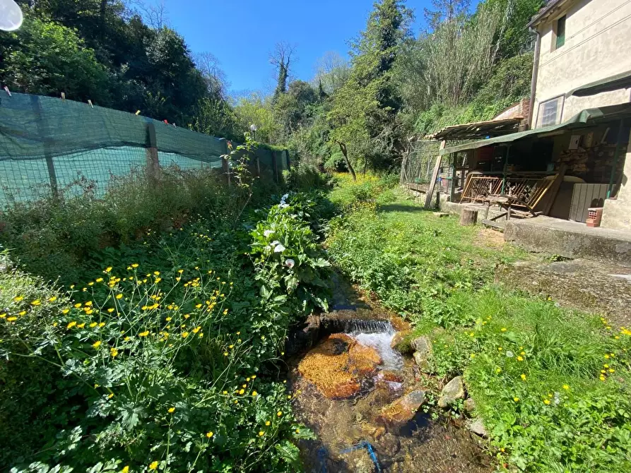 Immagine 39 di Porzione di casa in vendita  a Buti