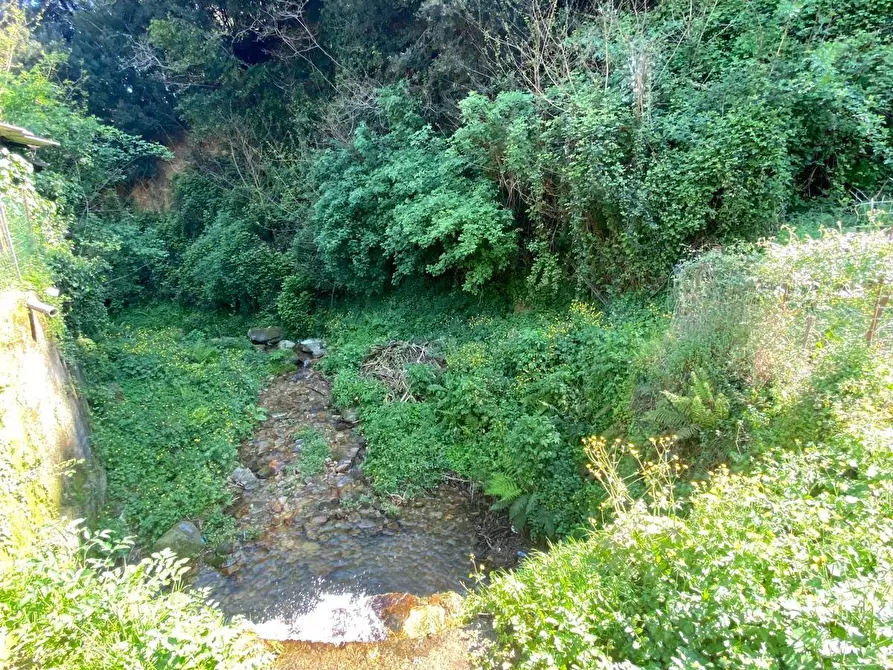 Immagine 40 di Porzione di casa in vendita  a Buti
