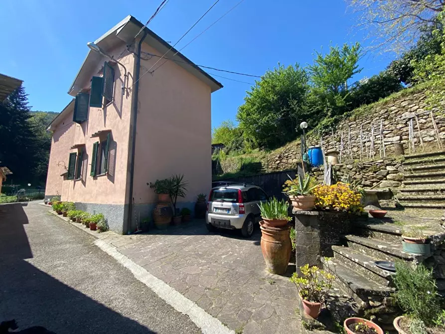 Immagine 2 di Porzione di casa in vendita  a Buti