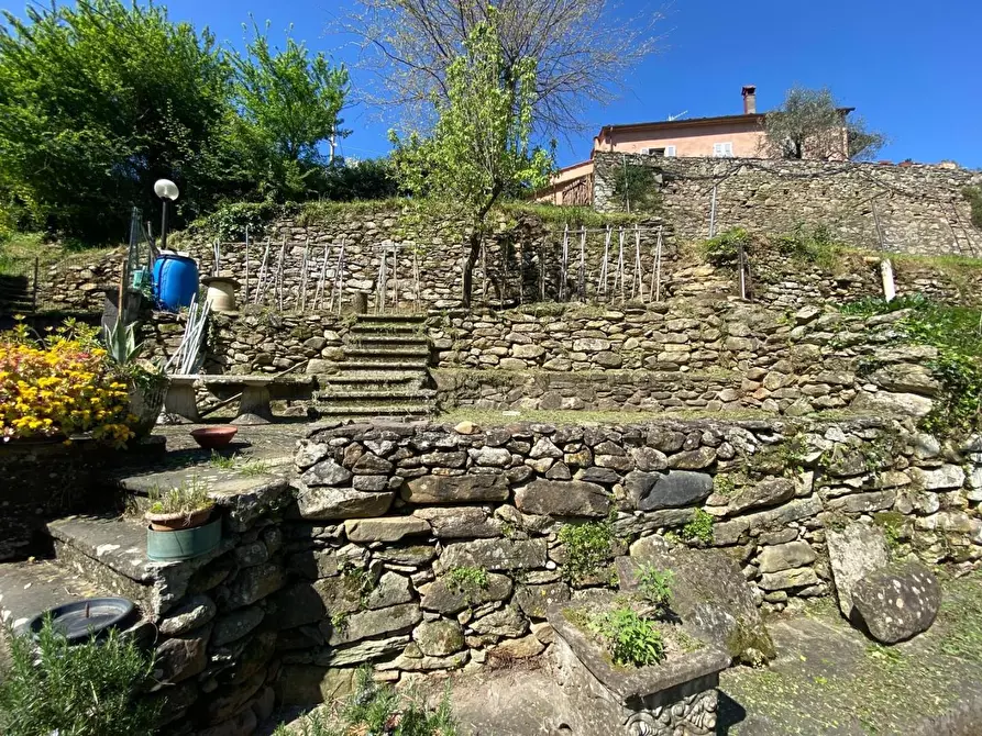 Immagine 37 di Porzione di casa in vendita  a Buti