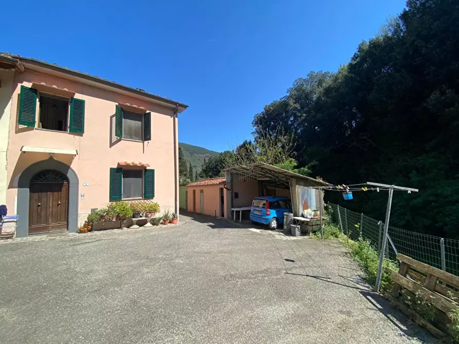 Immagine 3 di Porzione di casa in vendita  a Buti