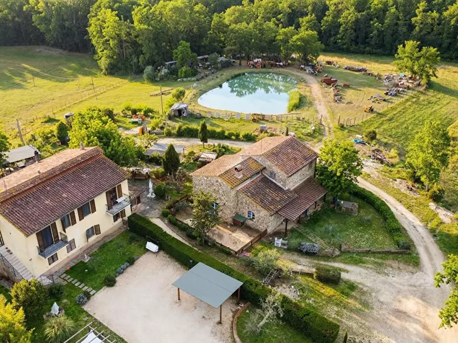 Immagine 2 di Rustico / casale in vendita  a Casole D'elsa