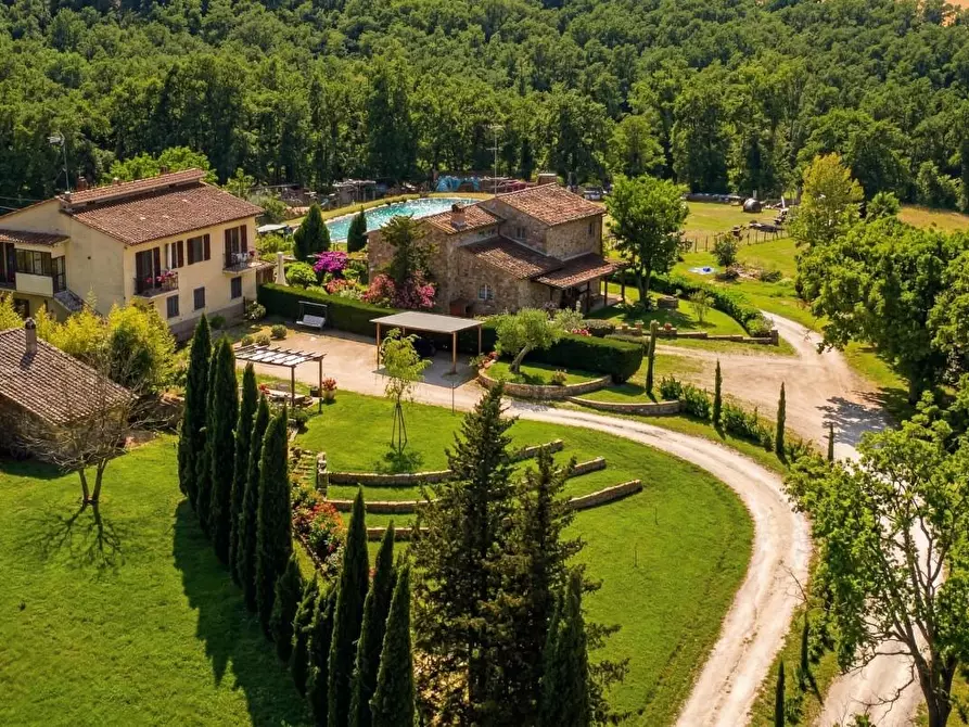Immagine 3 di Rustico / casale in vendita  a Casole D'elsa