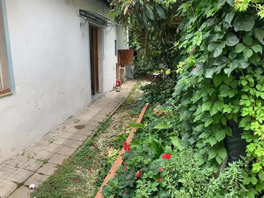 Immagine 2 di Terratetto in vendita  a Pisa