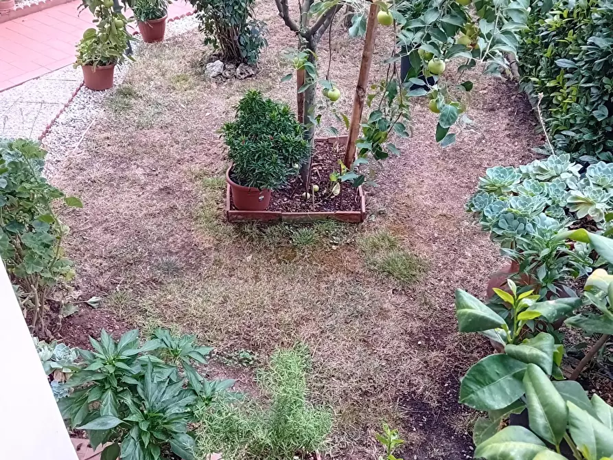 Immagine 17 di Porzione di casa in vendita  a Poggio A Caiano