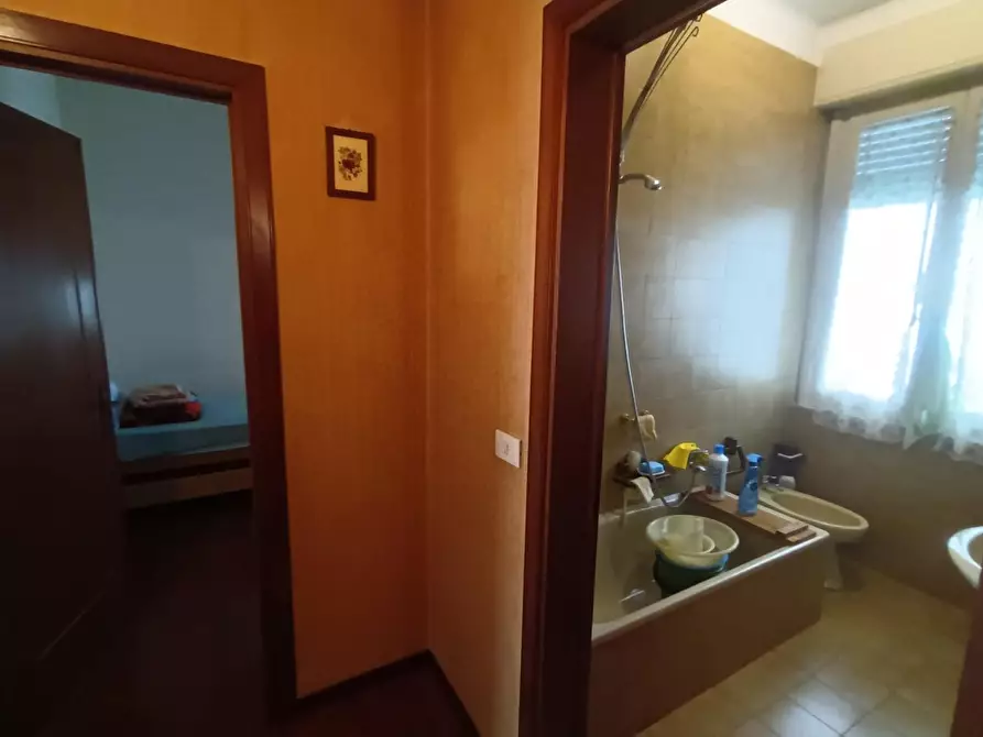 Immagine 5 di Appartamento in vendita  a Lucca