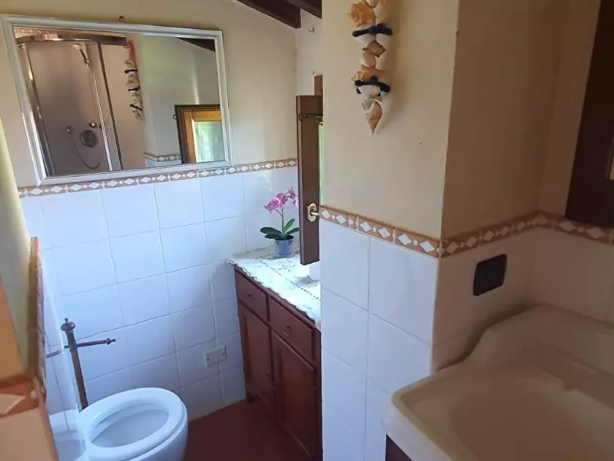 Immagine 12 di Appartamento in vendita  a Palaia