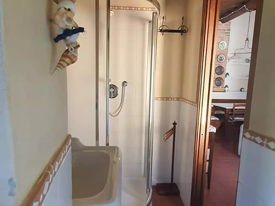 Immagine 11 di Appartamento in vendita  a Palaia