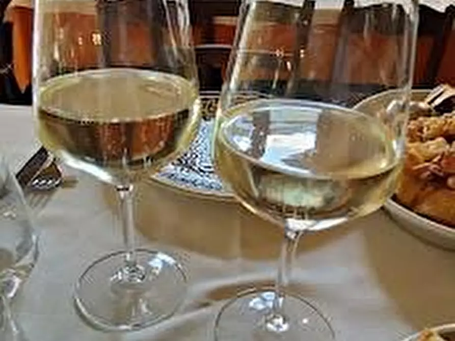 Immagine 5 di Bar / Ristorante in vendita  a Vecchiano