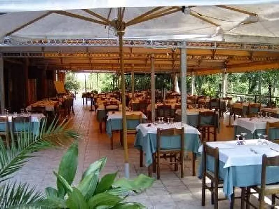 Immagine 1 di Bar / Ristorante in vendita  a Vecchiano