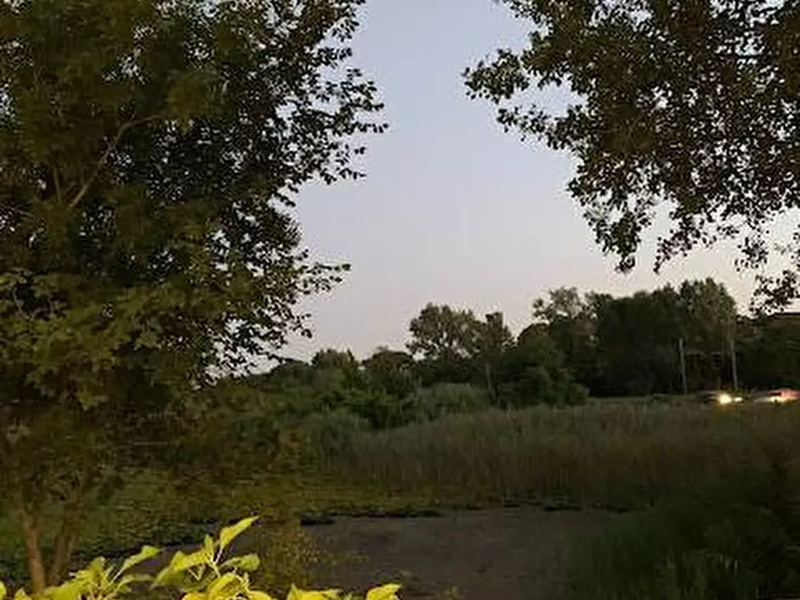 Immagine 3 di Bar / Ristorante in vendita  a Vecchiano