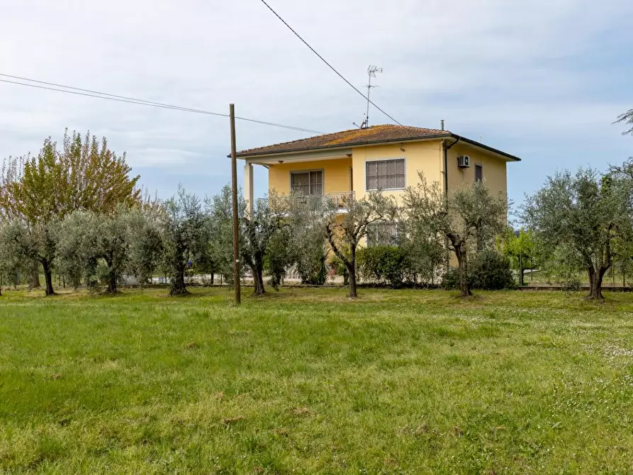 Immagine 3 di Casa bifamiliare in vendita  a Pisa