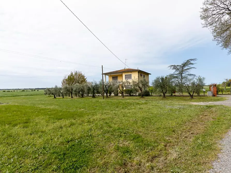 Immagine 5 di Casa bifamiliare in vendita  a Pisa