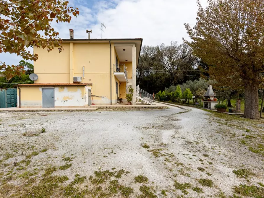 Immagine 35 di Casa bifamiliare in vendita  a Pisa