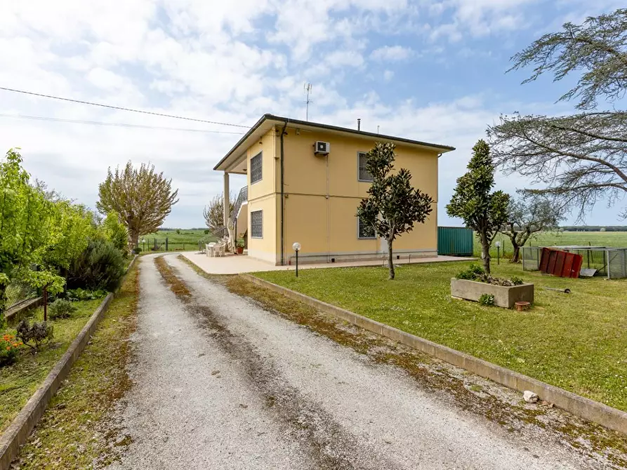 Immagine 4 di Casa bifamiliare in vendita  a Pisa