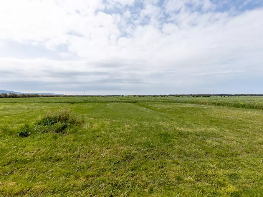 Immagine 36 di Casa bifamiliare in vendita  a Pisa