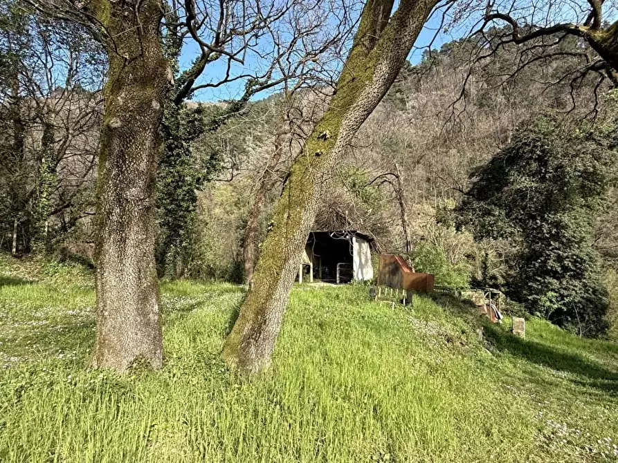 Immagine 45 di Casa indipendente in vendita  a Villa Basilica