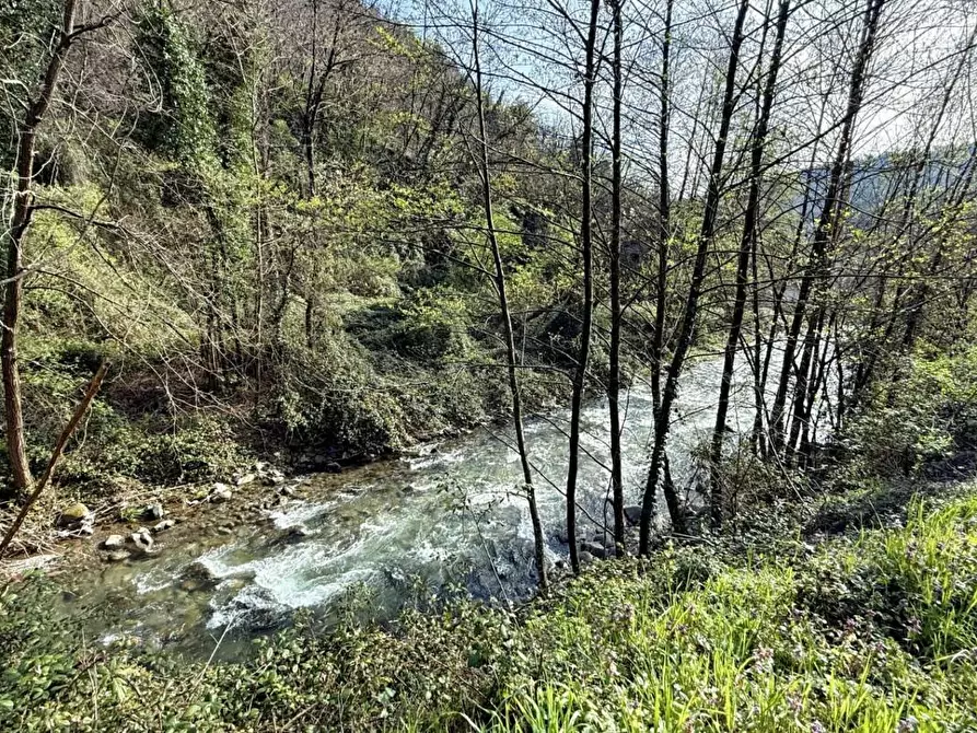 Immagine 46 di Casa indipendente in vendita  a Villa Basilica