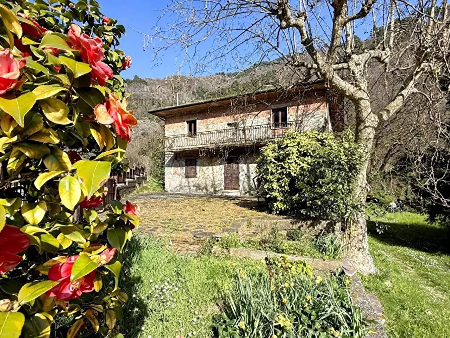 Immagine 5 di Casa indipendente in vendita  a Villa Basilica