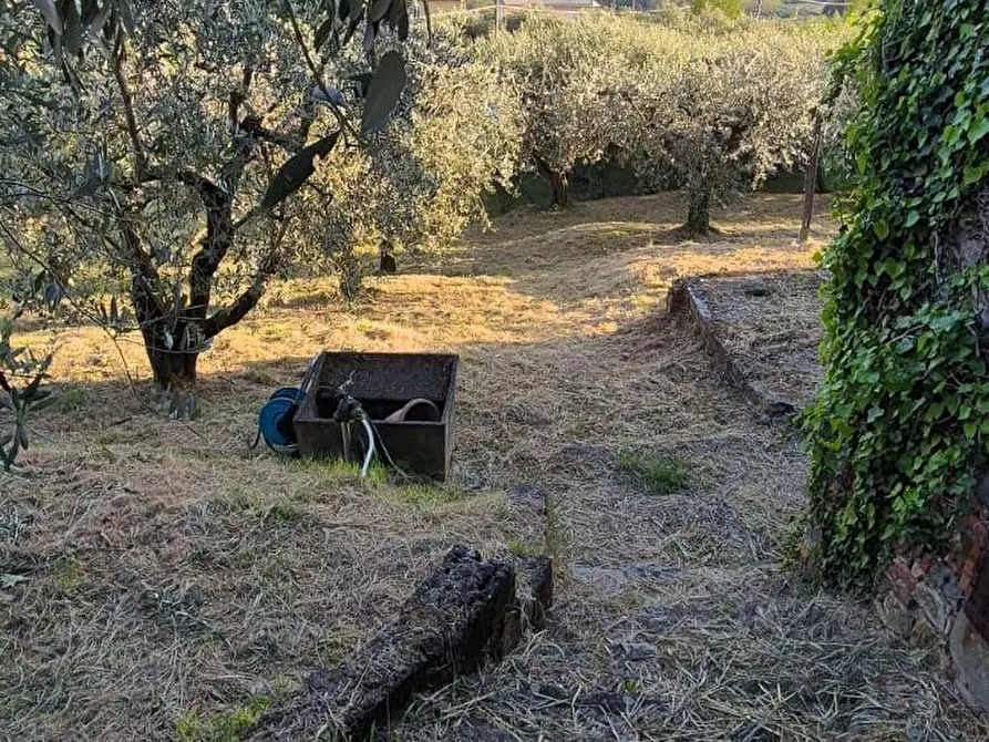 Immagine 30 di Casa semindipendente in vendita  a Capannori