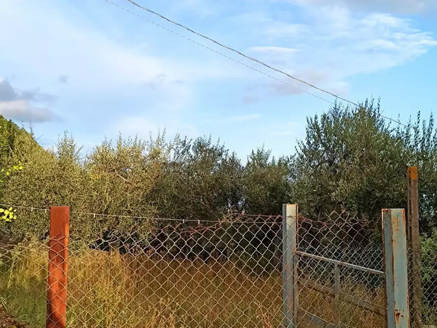 Immagine 29 di Casa semindipendente in vendita  a Capannori