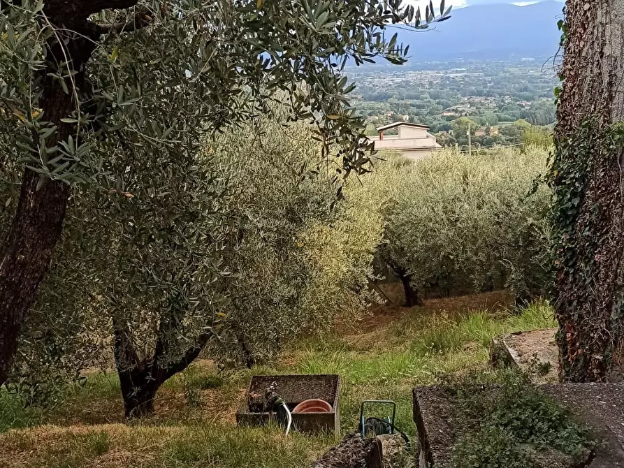 Immagine 7 di Casa semindipendente in vendita  a Capannori
