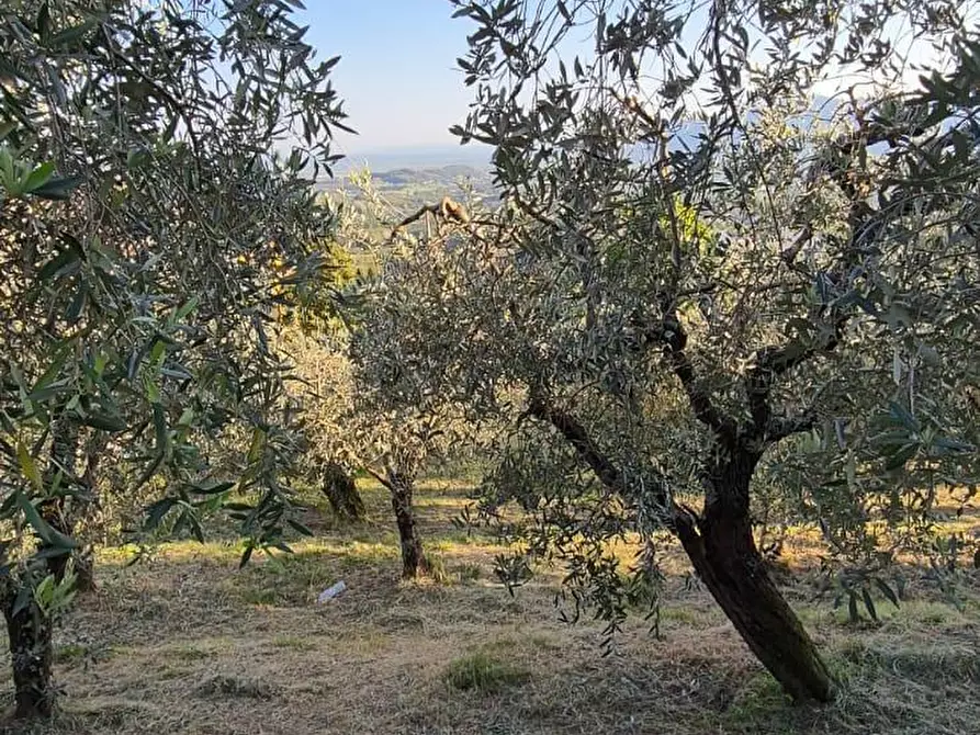 Immagine 17 di Casa semindipendente in vendita  a Capannori