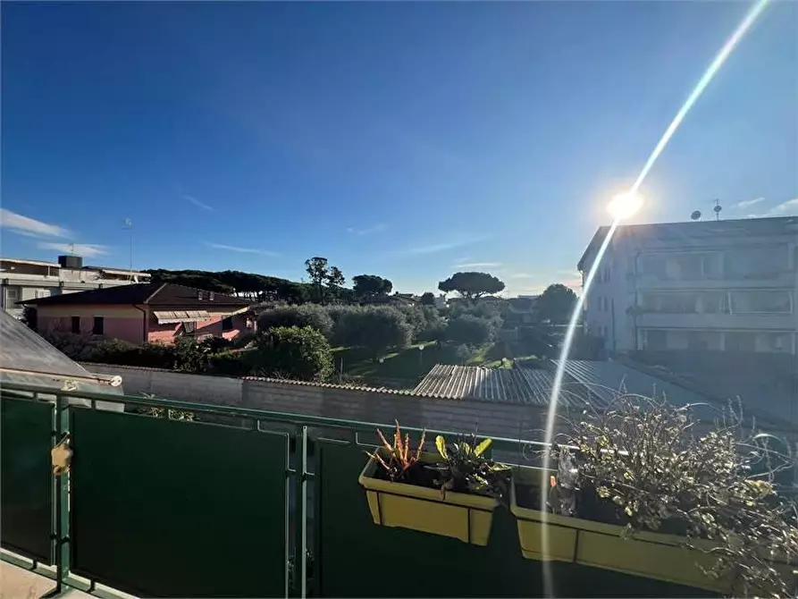 Immagine 6 di Appartamento in vendita  a Carrara