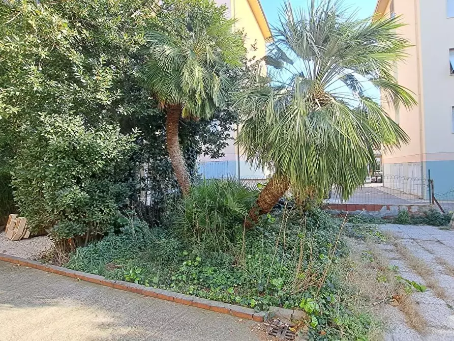 Immagine 17 di Appartamento in vendita  a Rosignano Marittimo