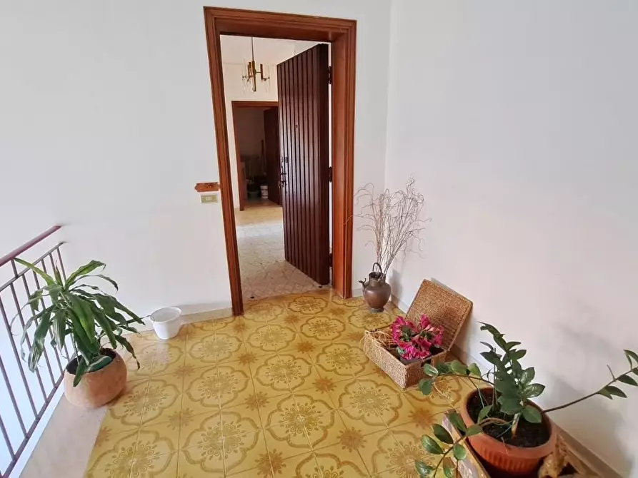 Immagine 3 di Appartamento in vendita  a Rosignano Marittimo