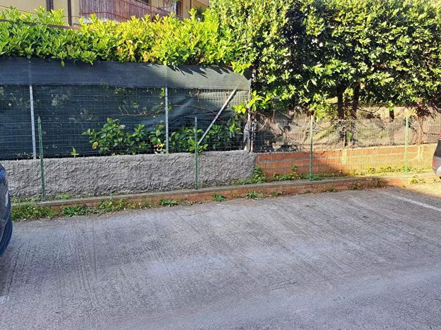 Immagine 18 di Appartamento in vendita  a Rosignano Marittimo