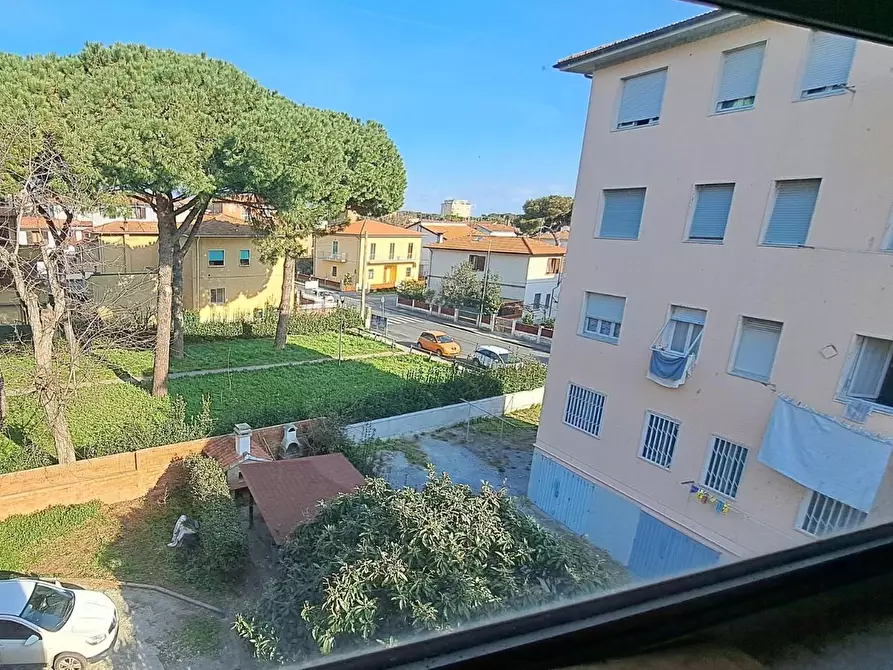 Immagine 2 di Appartamento in vendita  a Rosignano Marittimo