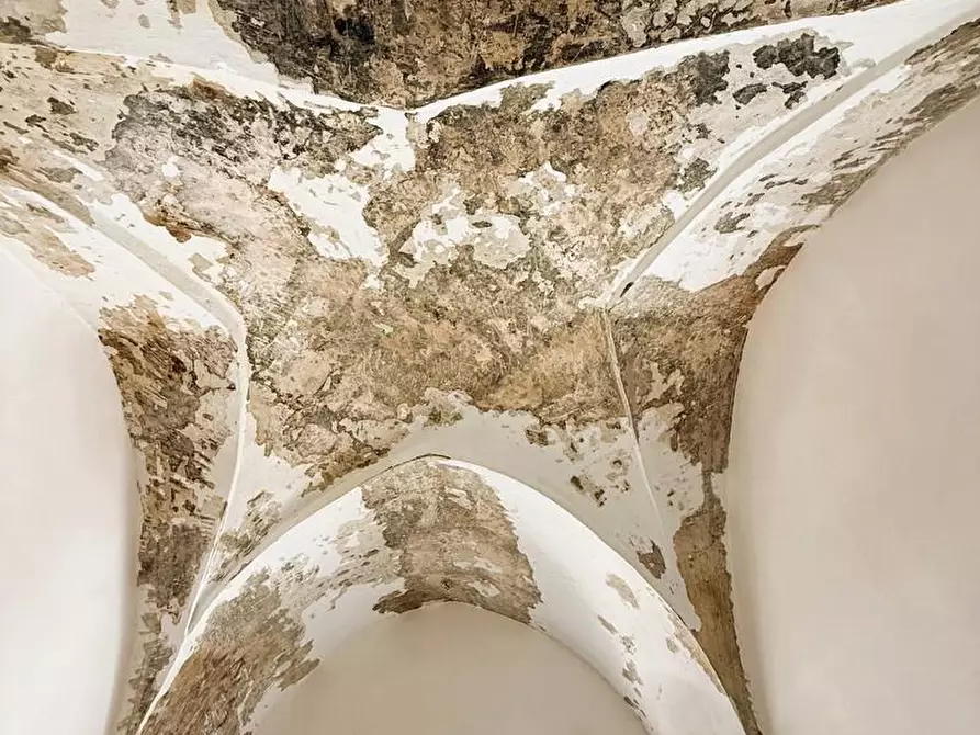 Immagine 20 di Terratetto in vendita  a Alessano