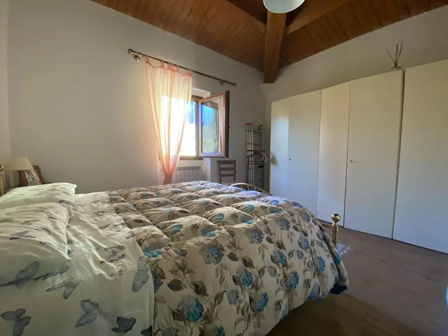 Immagine 17 di Terratetto in vendita  a Montelupo Fiorentino