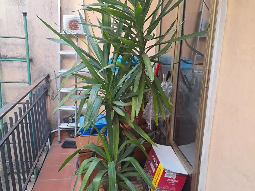 Immagine 16 di Terratetto in vendita  a Porcari