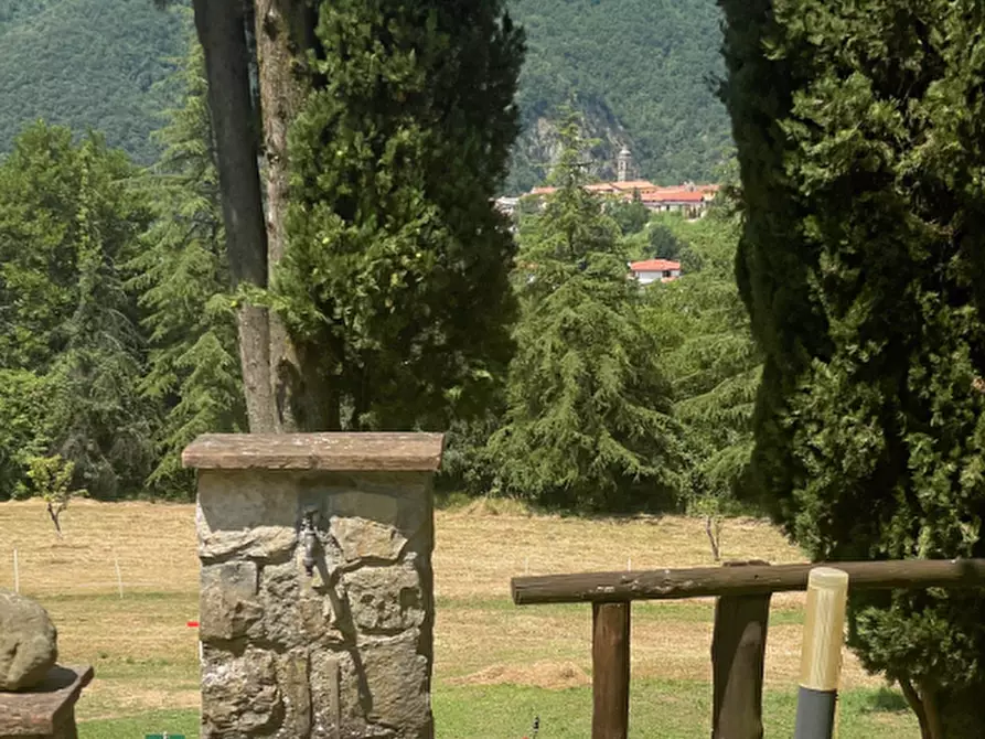 Immagine 76 di Immobile di prestigio in vendita  a Fivizzano