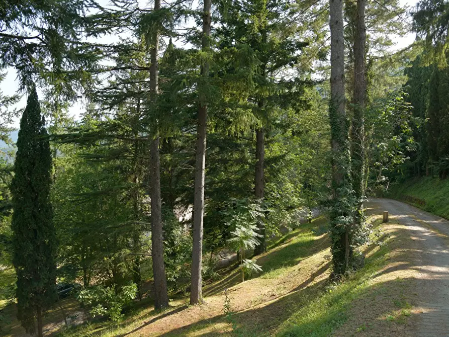 Immagine 78 di Immobile di prestigio in vendita  a Fivizzano