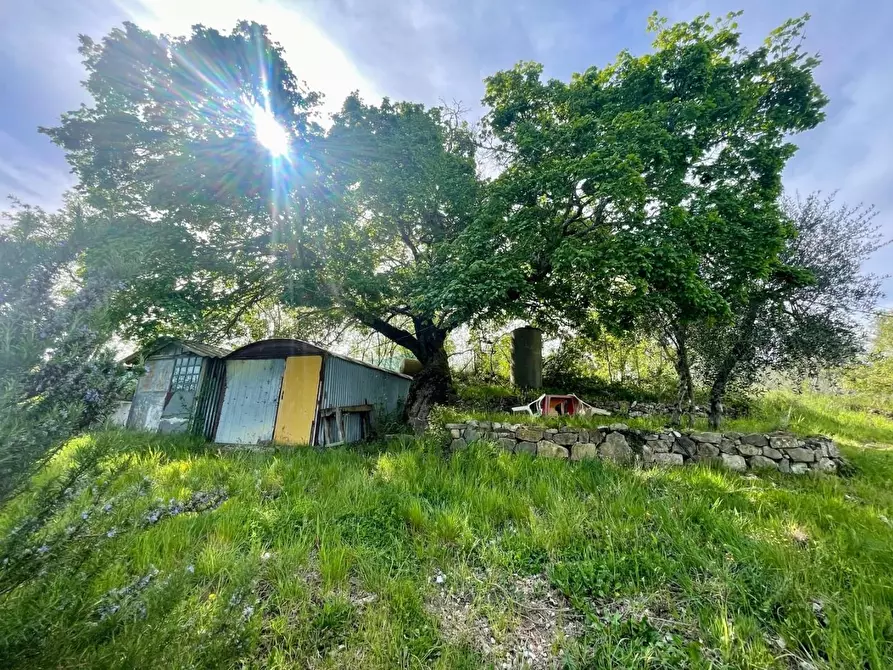 Immagine 8 di Terreno agricolo in vendita  a Murlo