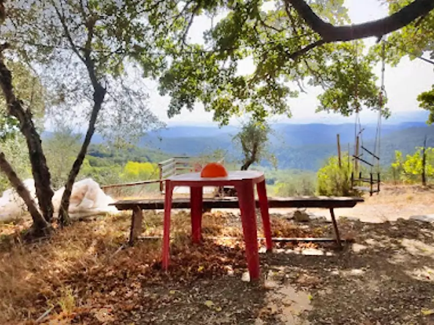 Immagine 1 di Terreno agricolo in vendita  a Murlo