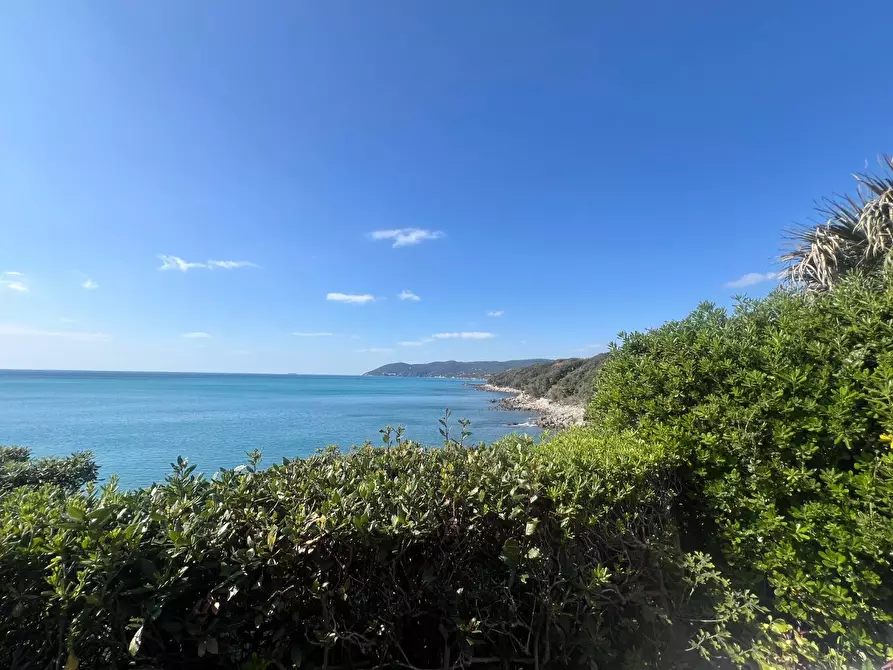 Immagine 6 di Appartamento in vendita  a Livorno