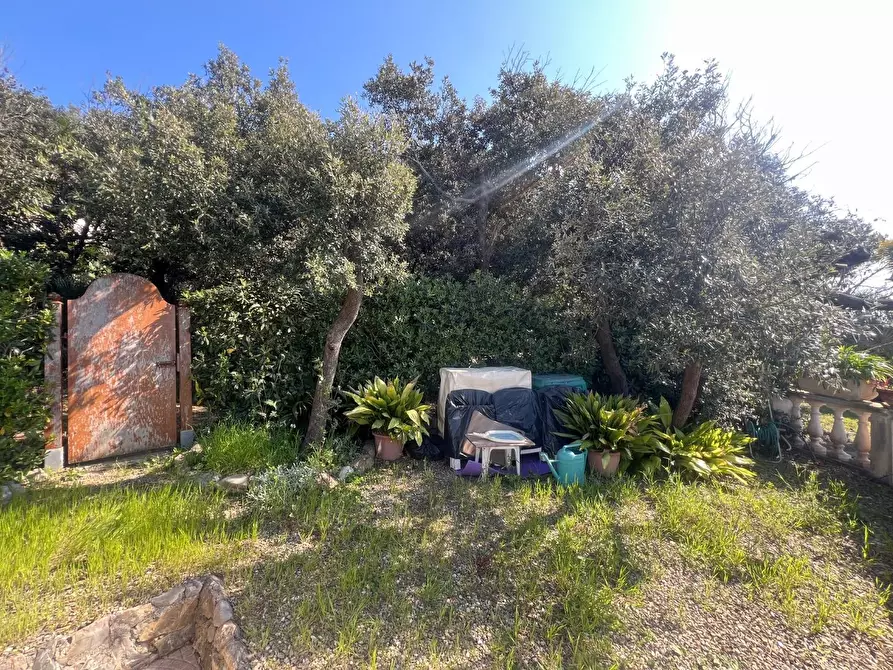 Immagine 8 di Appartamento in vendita  a Livorno