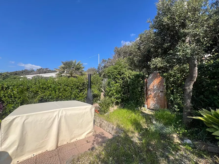 Immagine 7 di Appartamento in vendita  a Livorno