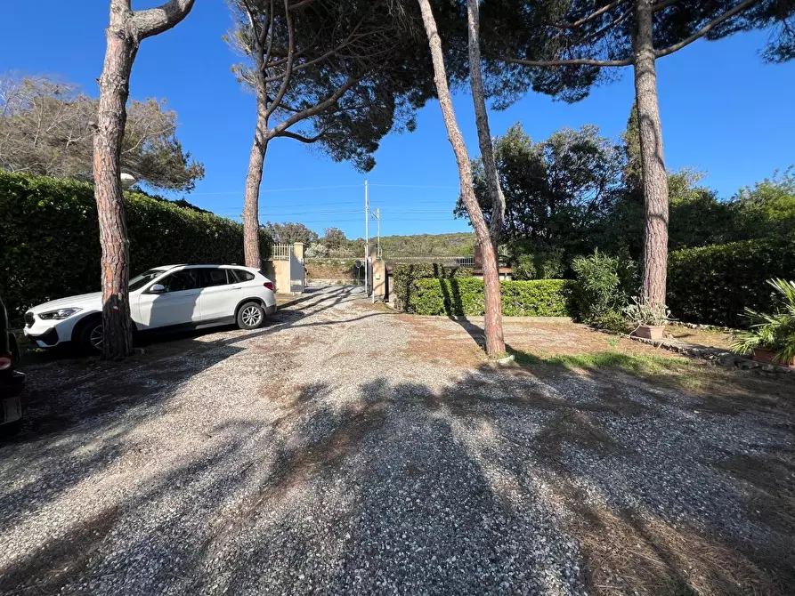 Immagine 57 di Appartamento in vendita  a Livorno