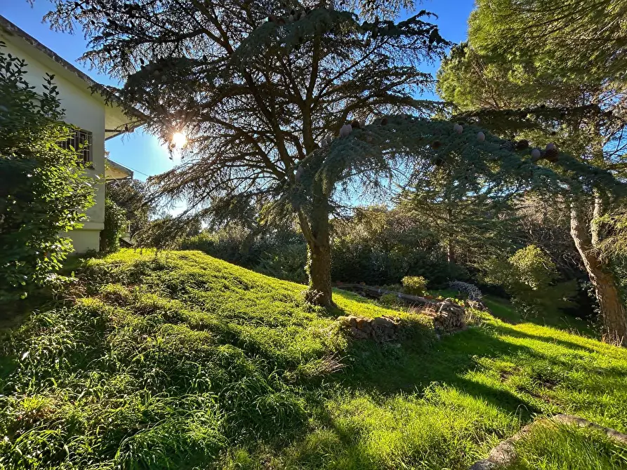 Immagine 3 di Villa in vendita  a Livorno