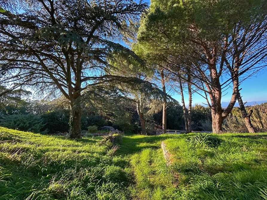 Immagine 18 di Villa in vendita  a Livorno