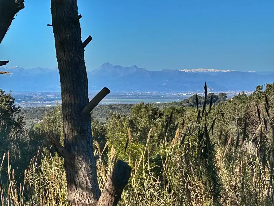Immagine 21 di Villa in vendita  a Livorno
