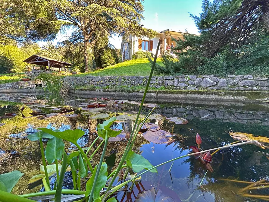 Immagine 4 di Villa in vendita  a Livorno