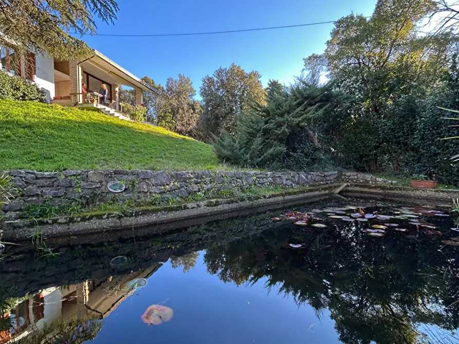 Immagine 19 di Villa in vendita  a Livorno