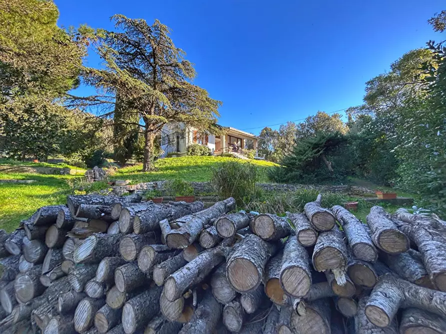 Immagine 17 di Villa in vendita  a Livorno